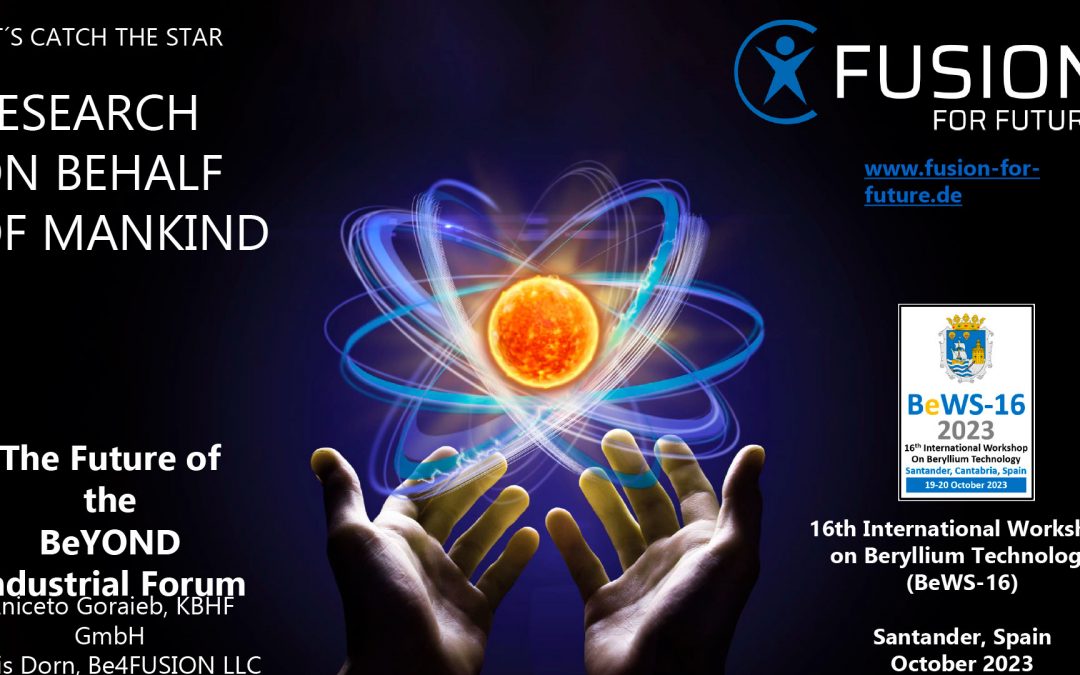 Next Steps to Global Fusion Partnerships
